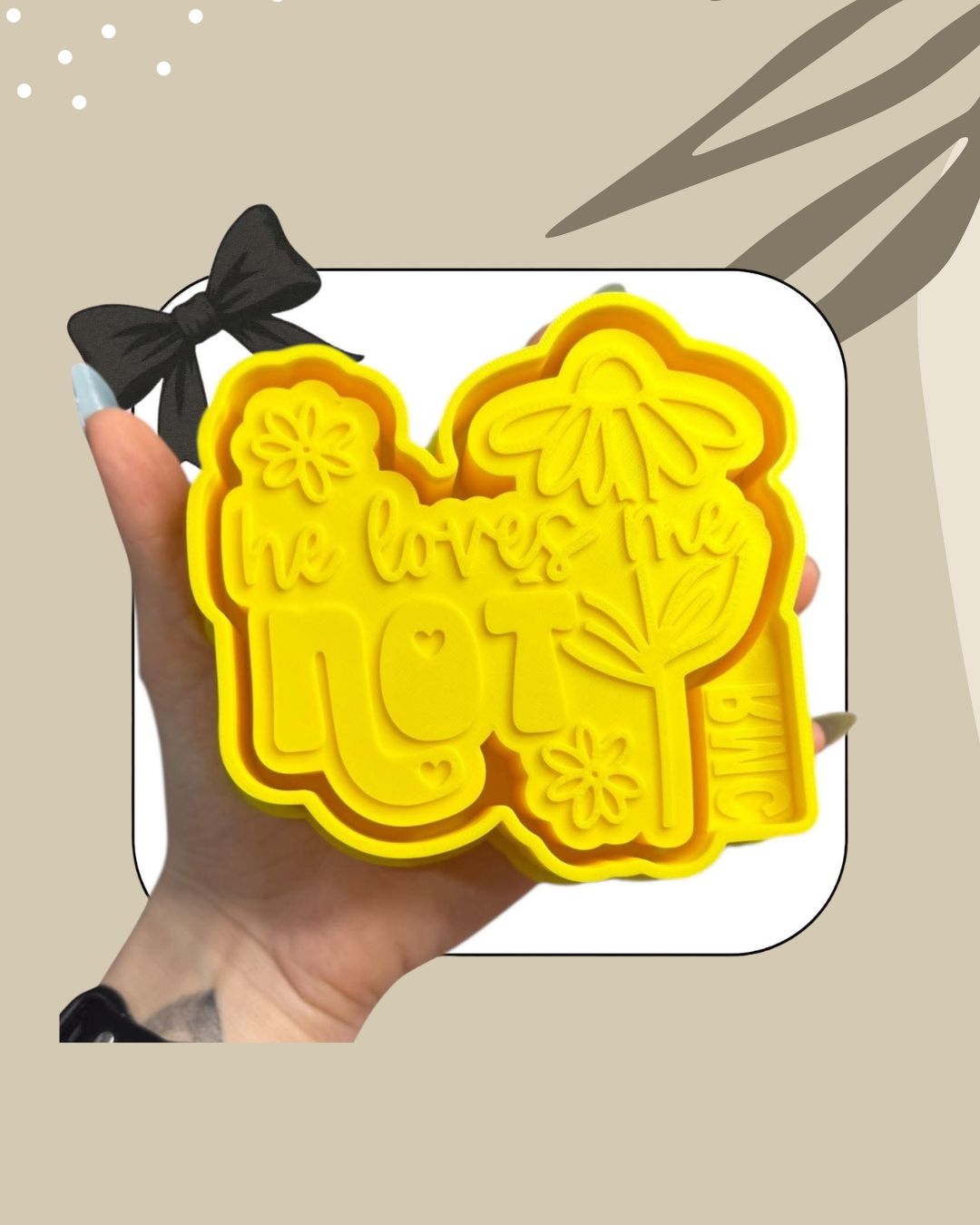 He Loves Me Not Daisies